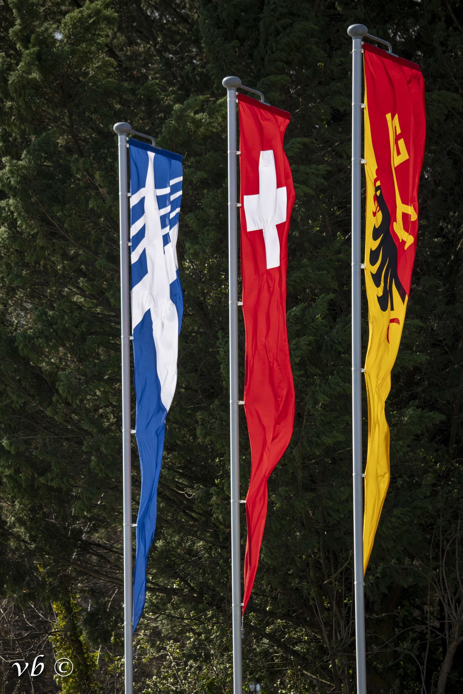 Drapeaux et emblèmes